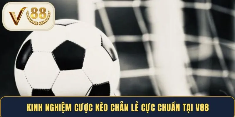 kinh-nghiem-cuoc-keo-chan-le-cuc-chuan-tai-v88