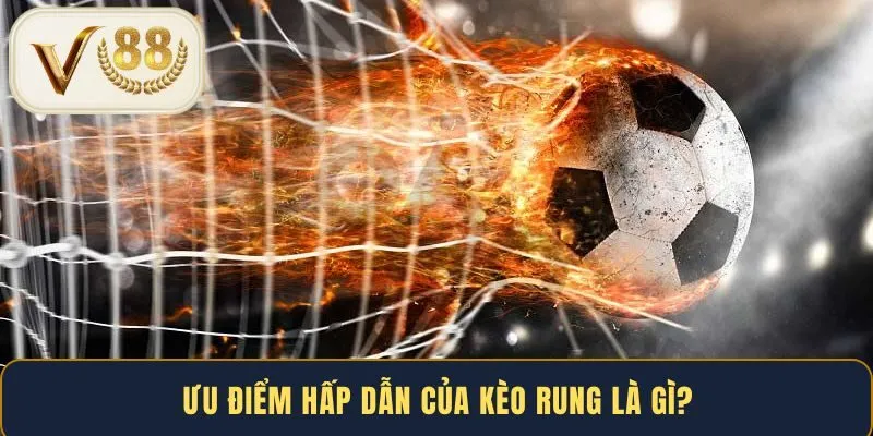 uu-diem-hap-dan-cua-keo-rung-la-gi